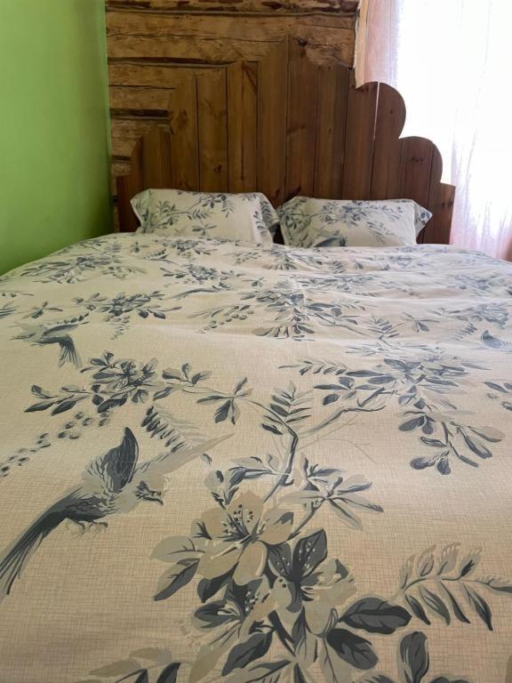 Stebuklas Βίλνιους Εξωτερικό φωτογραφία